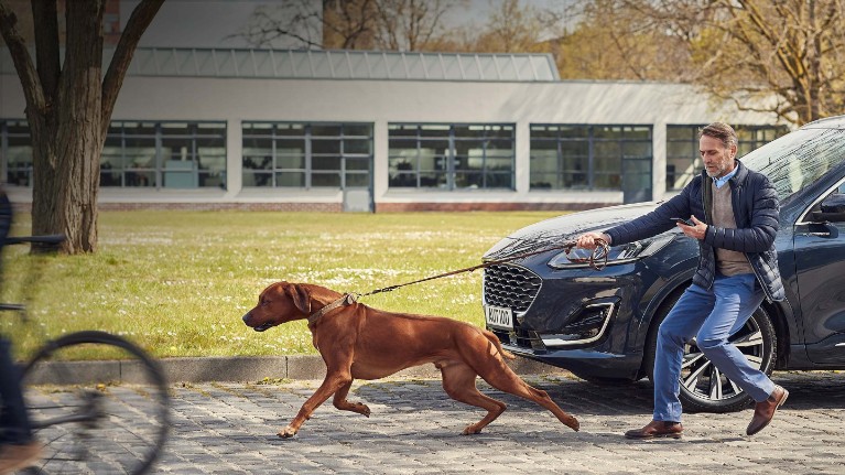 ford servicing eu feature 16x9 2160x1215 Features Module man with smartphone walking dog